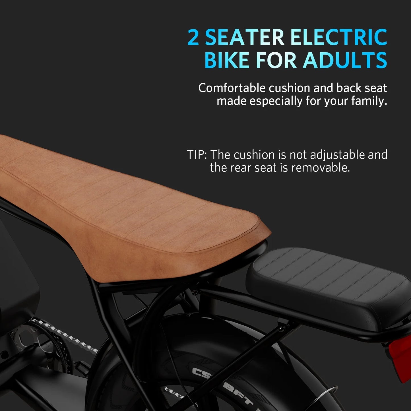 Hipatoo Electric Bike for Adults, Ebike Moped Style with 1000W Peak Motor 48V 15Ah Battery up to 31MPH, 20'' Fat Tire E Bike, Dual Disc Brakes Mountain Bike for Commuting & Off-Road, E-Bike UL2849