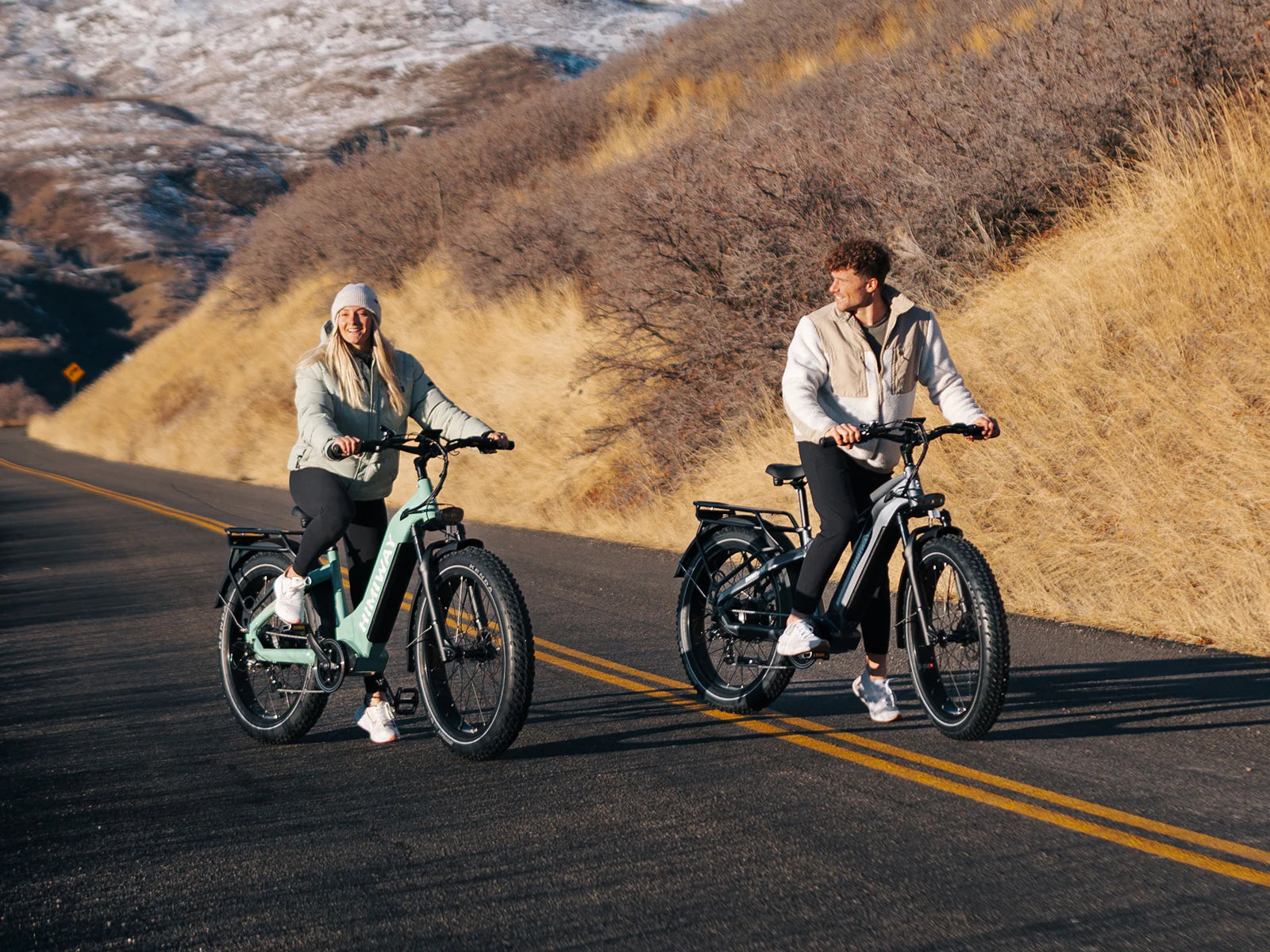 D5(Zebra) / Premium All-Terrain Electric Fat Bike