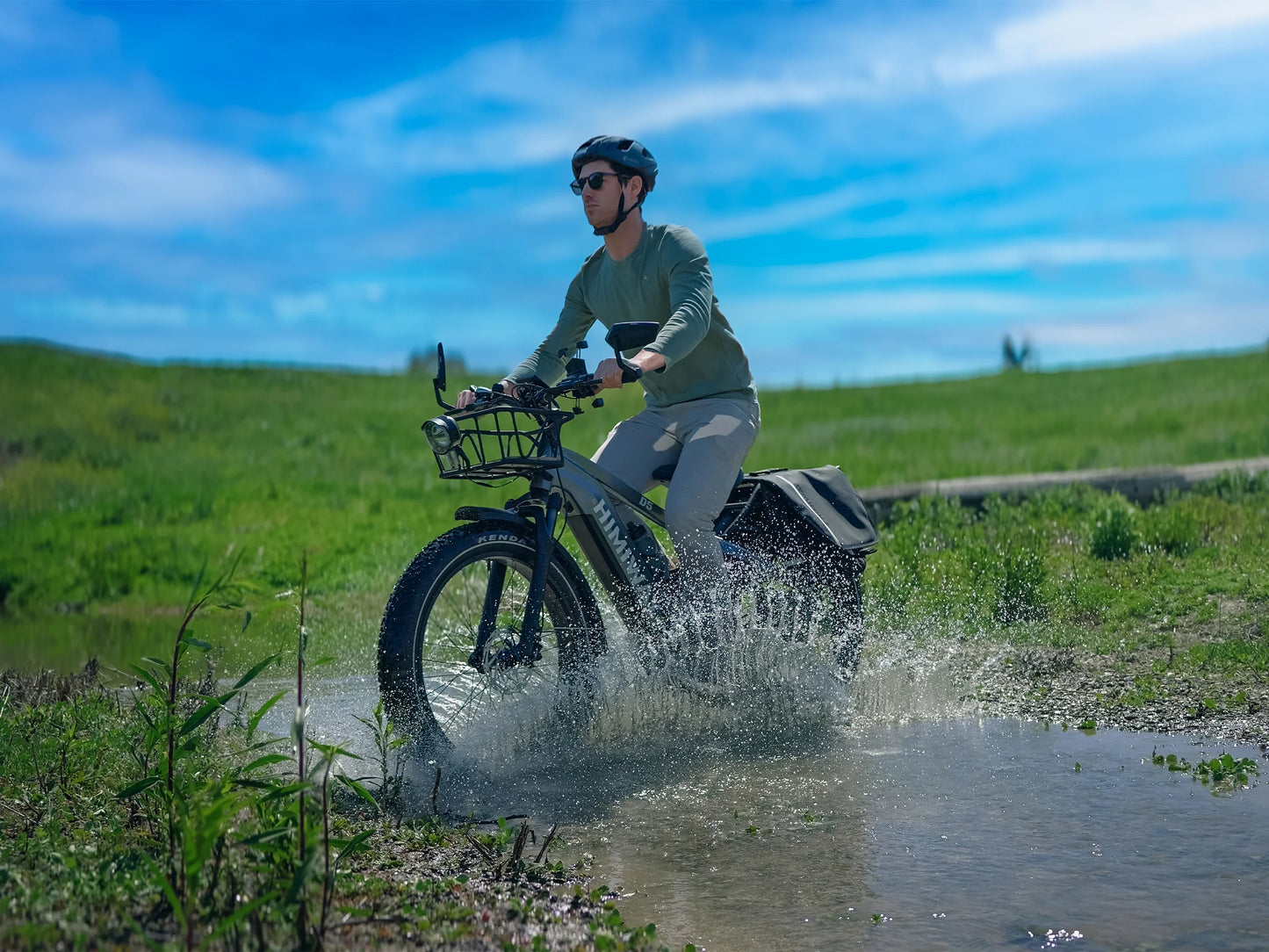 D5(Zebra) / Premium All-Terrain Electric Fat Bike