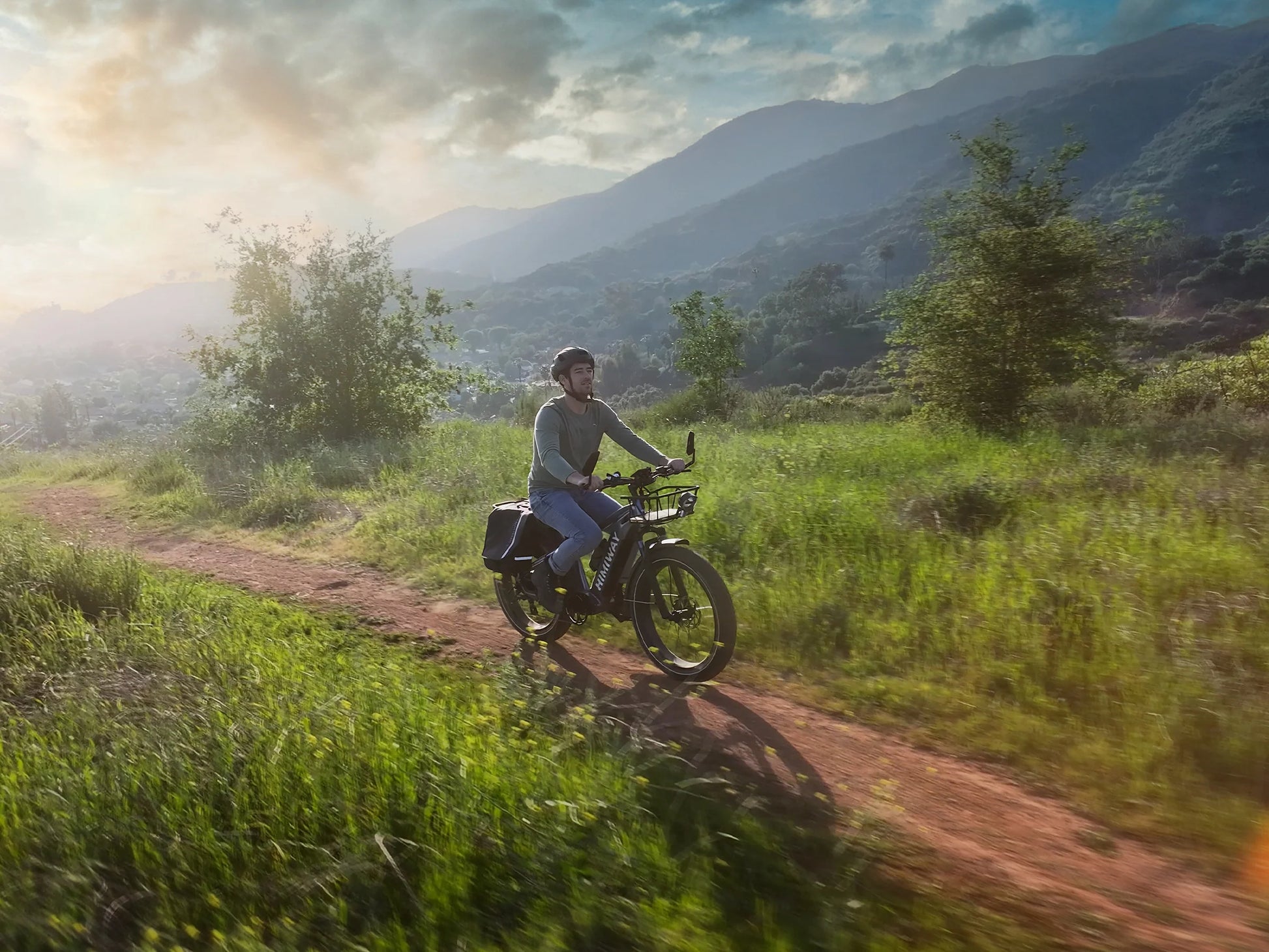 D5(Zebra) / Premium All-Terrain Electric Fat Bike