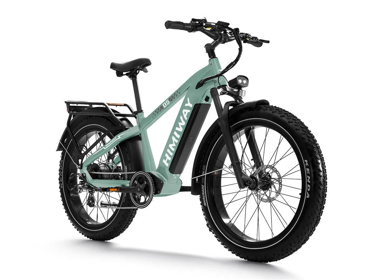 D5(Zebra) / Premium All-Terrain Electric Fat Bike