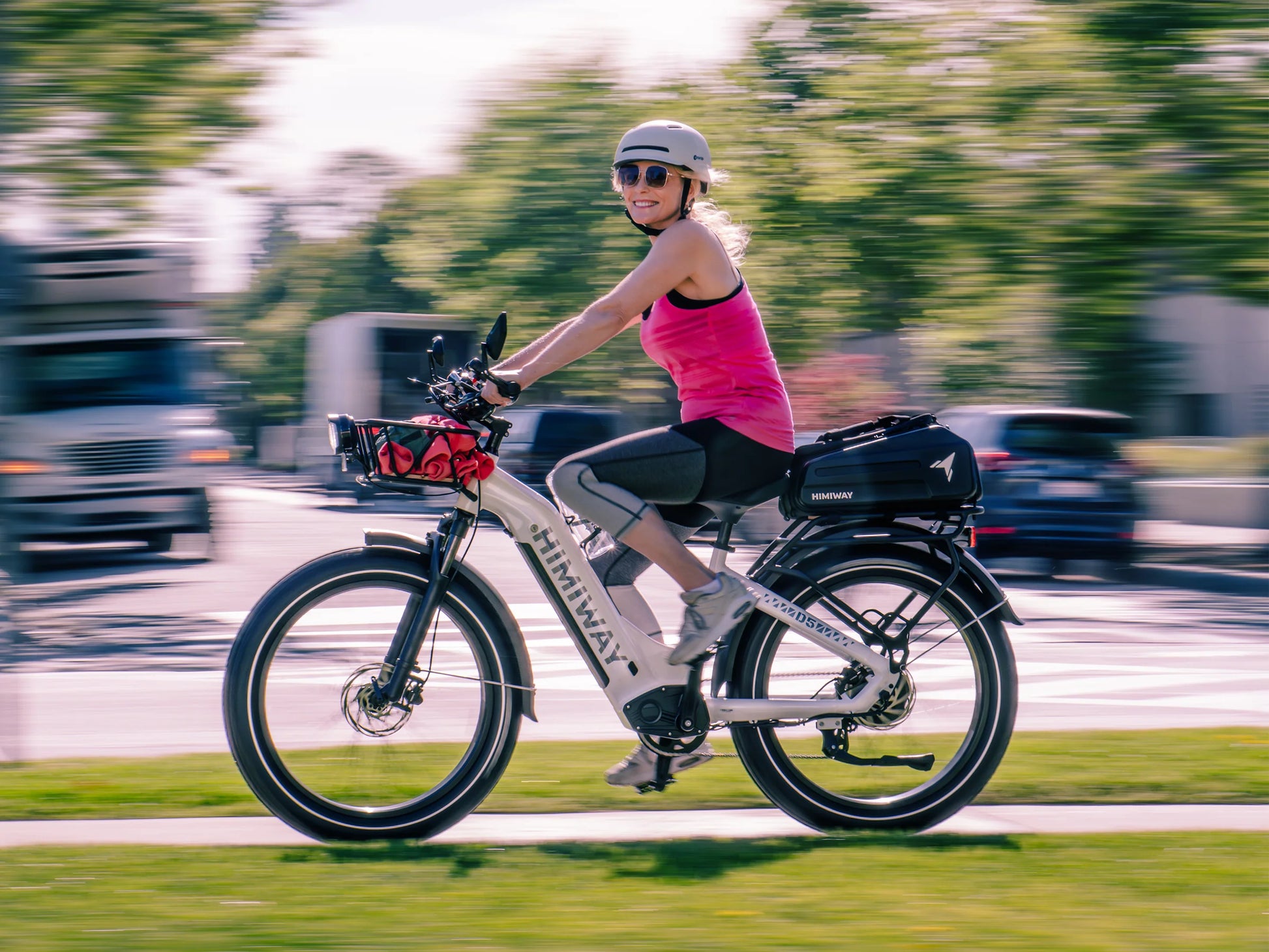 D5(Zebra) / Premium All-Terrain Electric Fat Bike