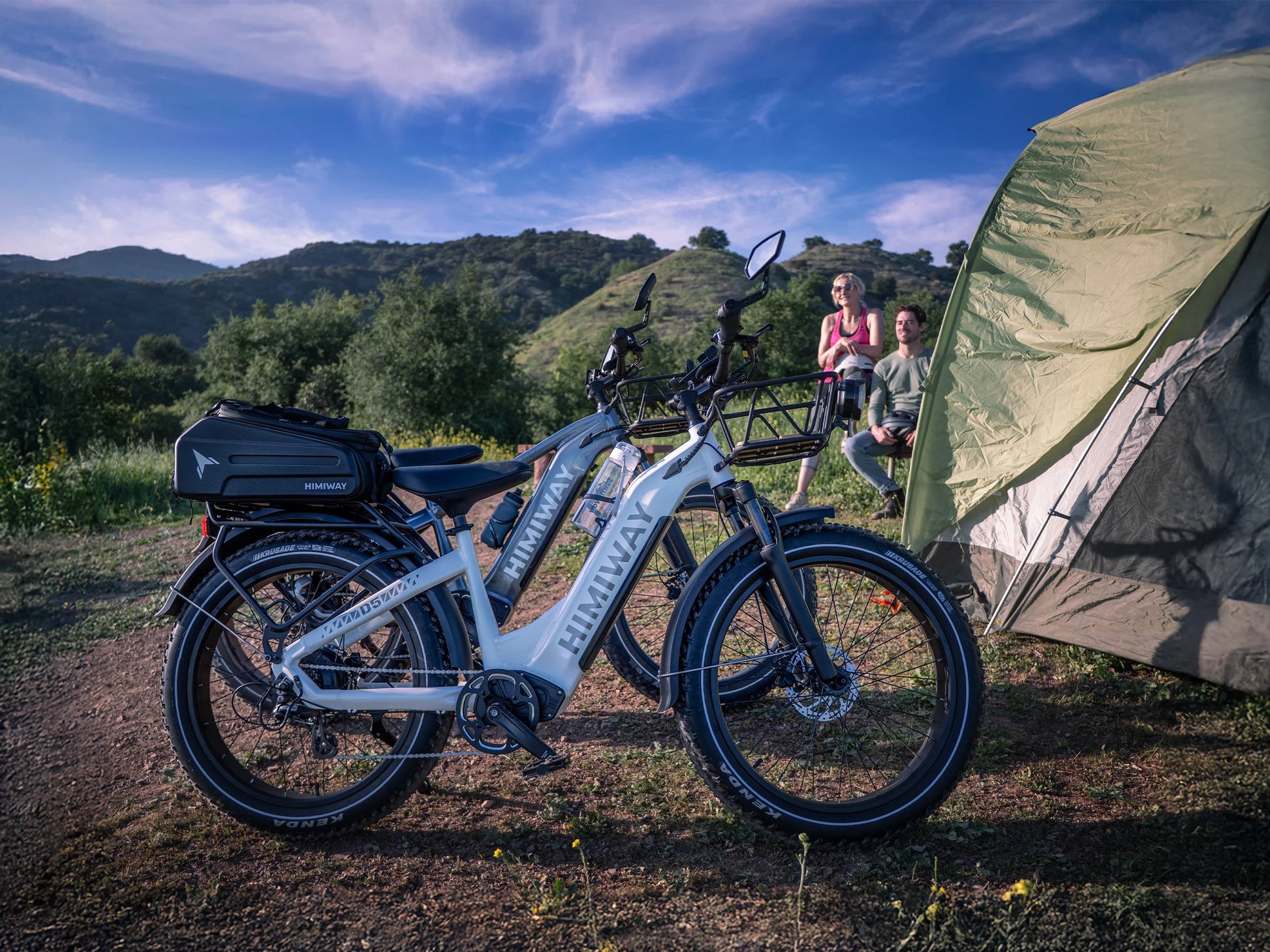 D5(Zebra) / Premium All-Terrain Electric Fat Bike